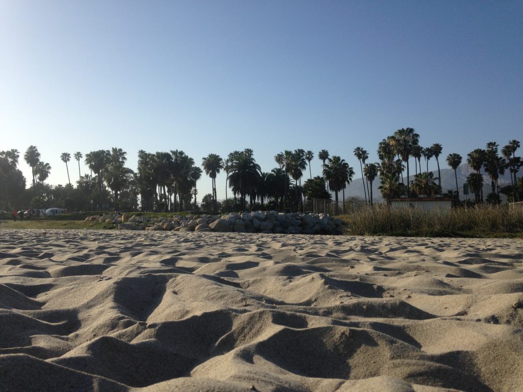 Sandy beach in Santa Barbara with palm trees and clear blue sky