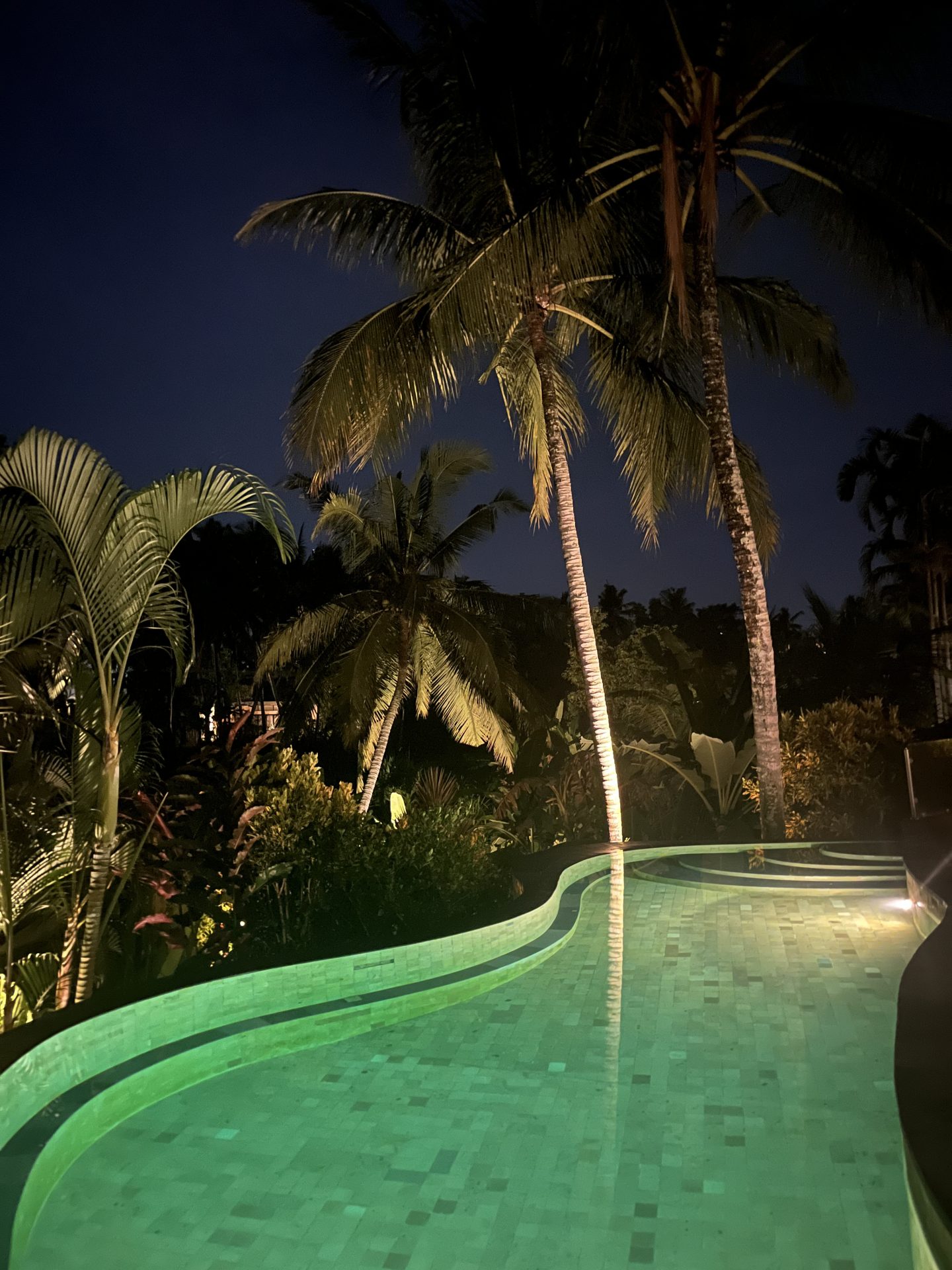 Illuminated swimming pool at Calma Ubud hotel in Bali, surrounded by tropical palm trees at night.