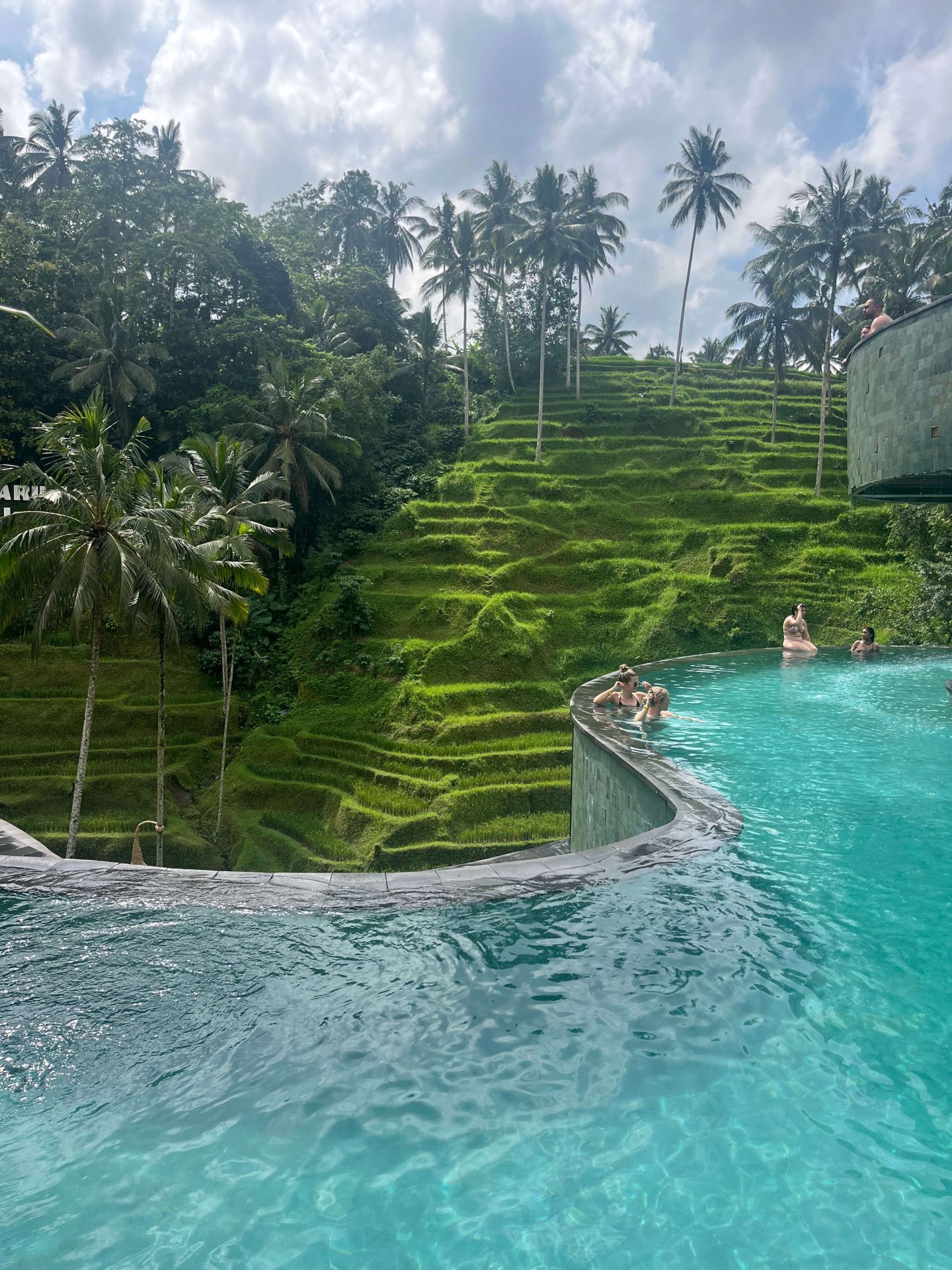 Infinity pool at Cretya Ubud overlooking lush rice terraces in Bali