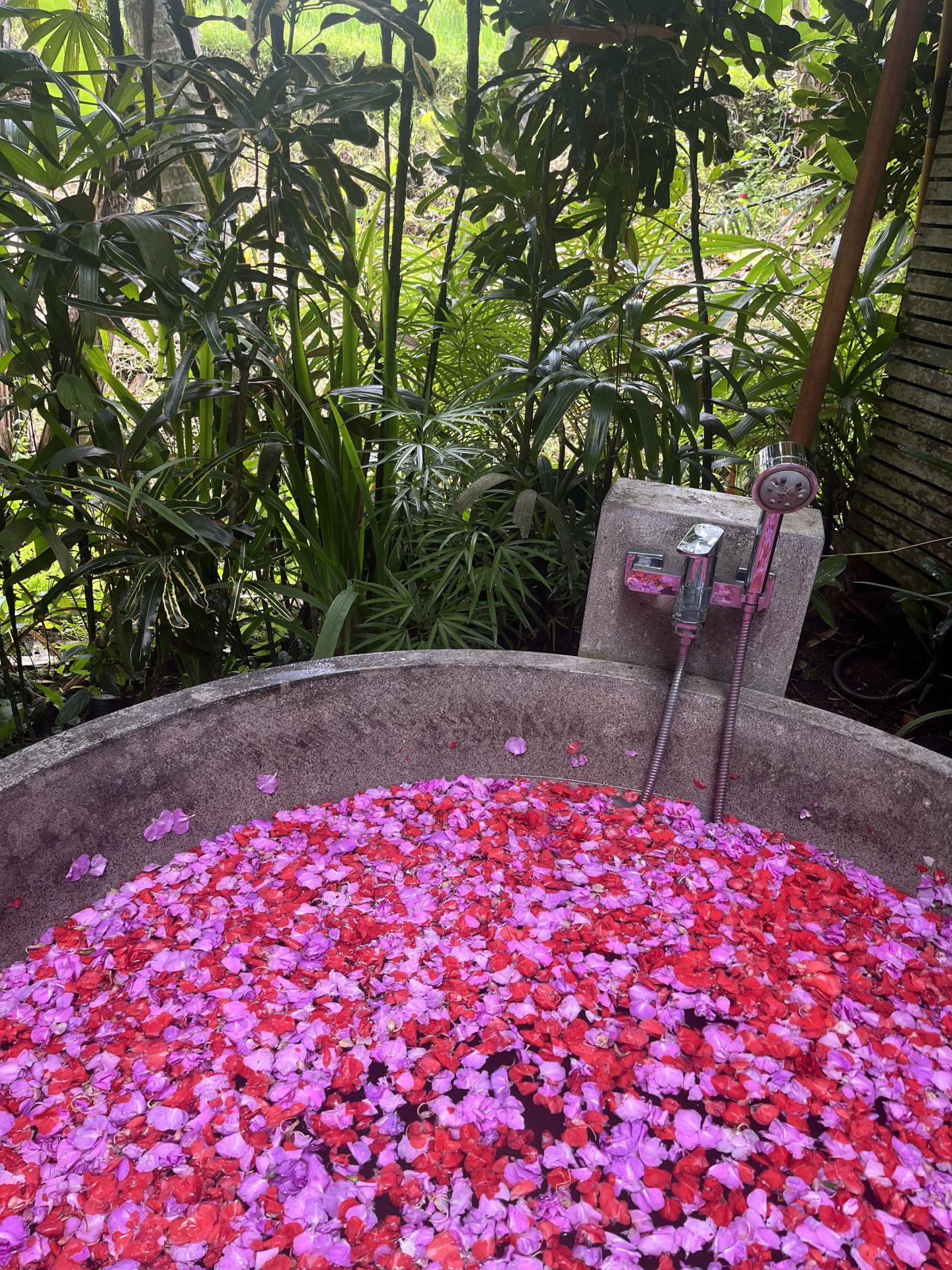 Traditional flower bath at Calma Ubud in Bali, filled with colorful petals and surrounded by tropical greenery.